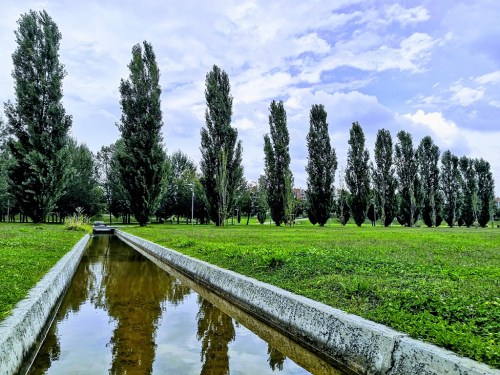 3 - 34 - Mirco Posa - prospettiva di alberi con corso d'acqua