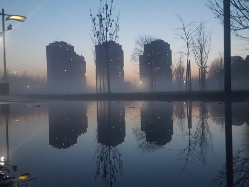 4 - 32 - fuori concorso - morbidi riflessi